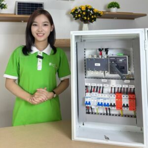 Bộ chuyển đổi nguồn tự động ATS 250A